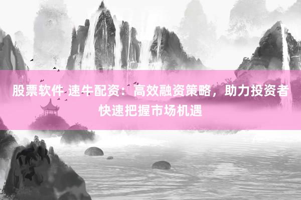 股票软件 速牛配资：高效融资策略，助力投资者快速把握市场机遇