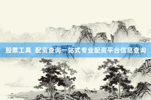 股票工具  配资查询一站式专业配资平台信息查询