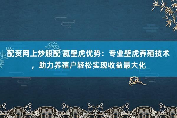 配资网上炒股配 赢壁虎优势：专业壁虎养殖技术，助力养殖户轻松实现收益最大化