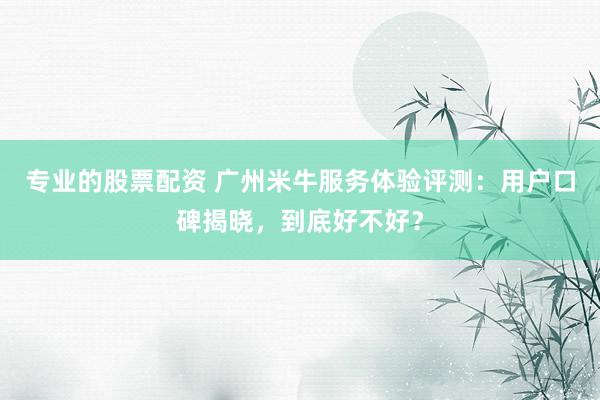 专业的股票配资 广州米牛服务体验评测：用户口碑揭晓，到底好不好？