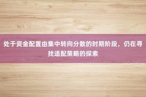 处于资金配置由集中转向分散的时期阶段，仍在寻找适配策略的探索