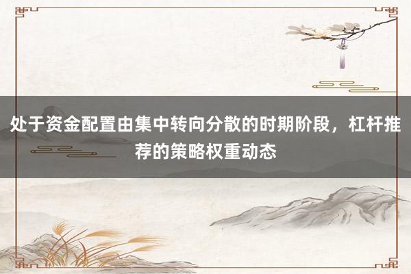 处于资金配置由集中转向分散的时期阶段，杠杆推荐的策略权重动态