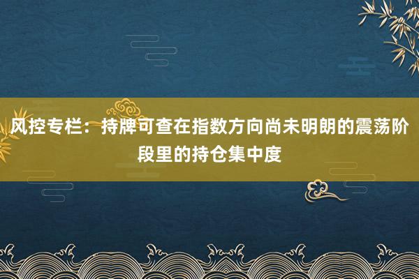 风控专栏：持牌可查在指数方向尚未明朗的震荡阶段里的持仓集中度